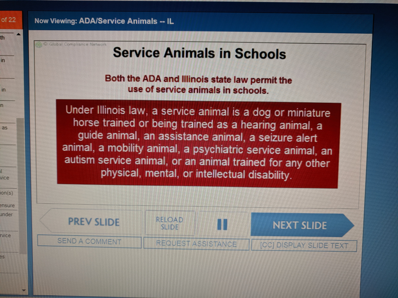 Illustration for article titled I desperately want to see a miniature horse service animal now.